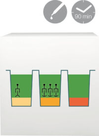 lab-procedure-41 lab-procedure-41