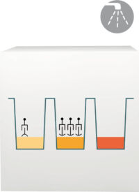 lab-procedure-52 lab-procedure-52