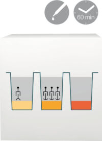 lab-procedure-62 lab-procedure-62