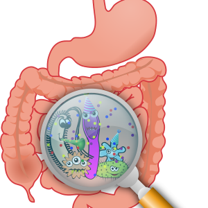 Maldigestion, malabsorption