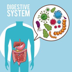 Basic Profil Intestinal Tract Stool Test