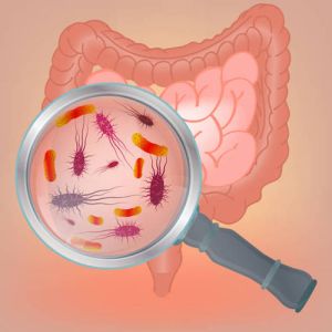 Beautiful vector illustration of bacterial flora in human internal organs. Abstract medicine concept. Useful for poster, indographics, placard, leaflet, brochure, print, book and ad graphic design.