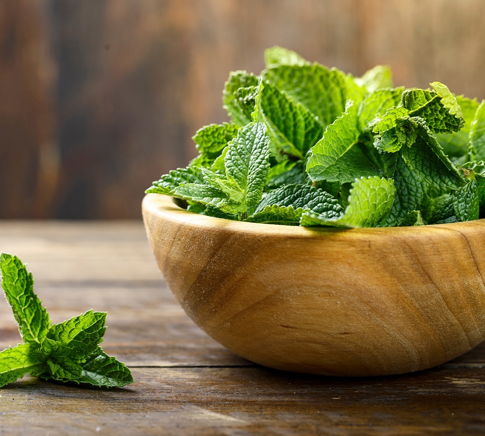 peppermint