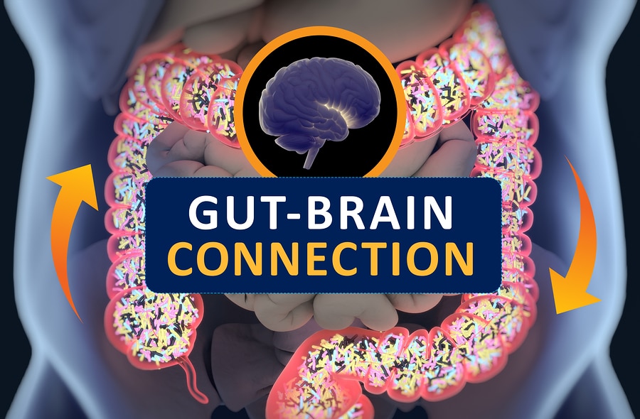 Gut-brain Connection Or Gut Brain Axis. Concept Art Showing A Co