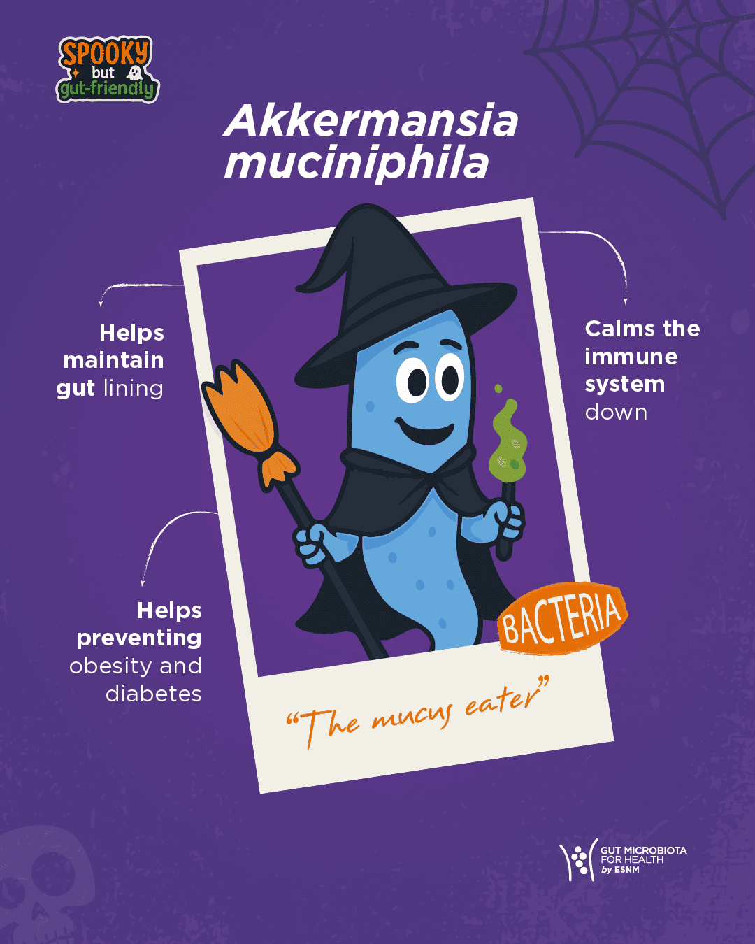 Akkermansia-muciniphila Akkermansia-muciniphila