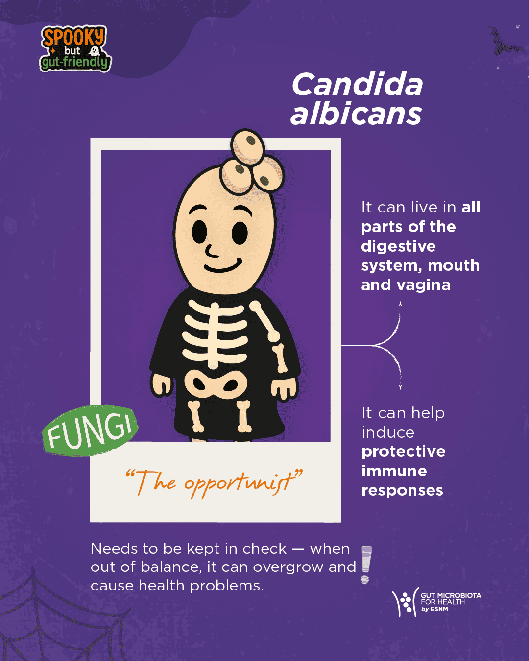 Candida-albicans Candida-albicans