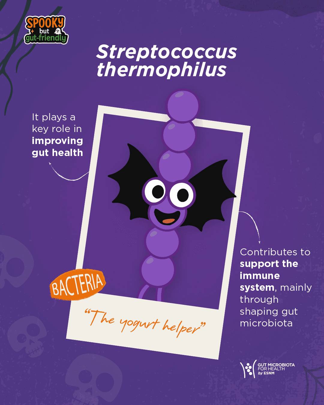 Streptococcus-thermophilus Streptococcus-thermophilus